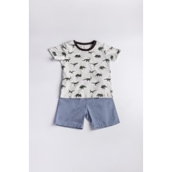 Printed T-Shirt with Short Suit Set